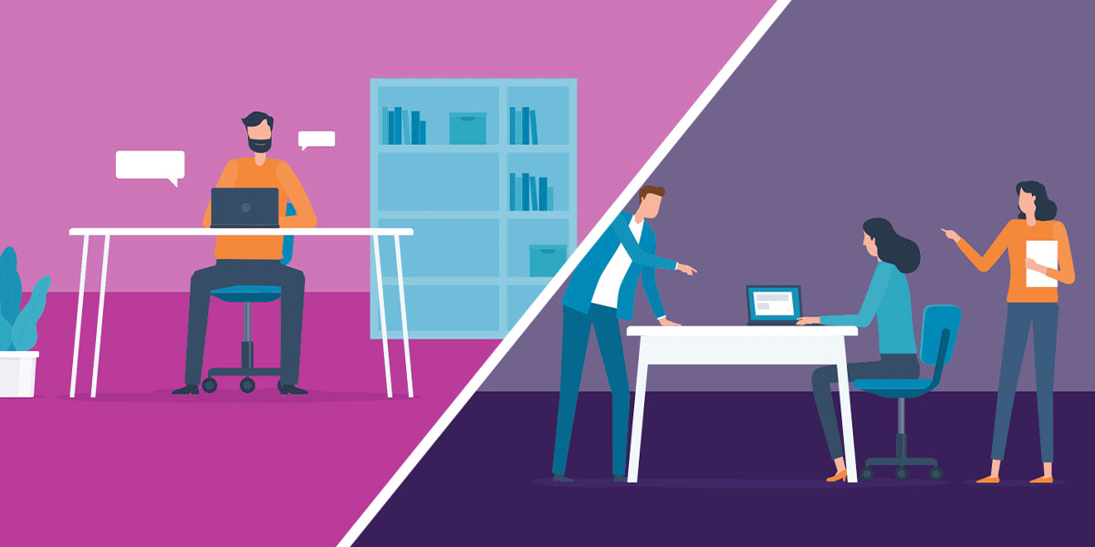 Freelancer or Design Studio